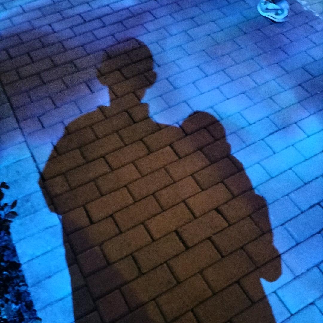 宝韵诗 素颜灯泡肌