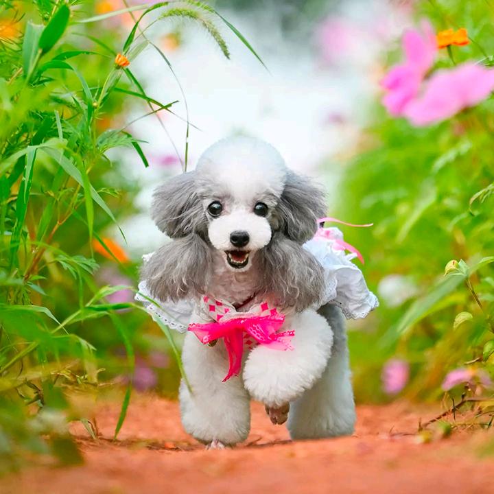 浪子回头金不换