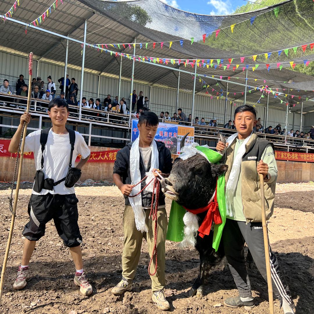 岁岁平安