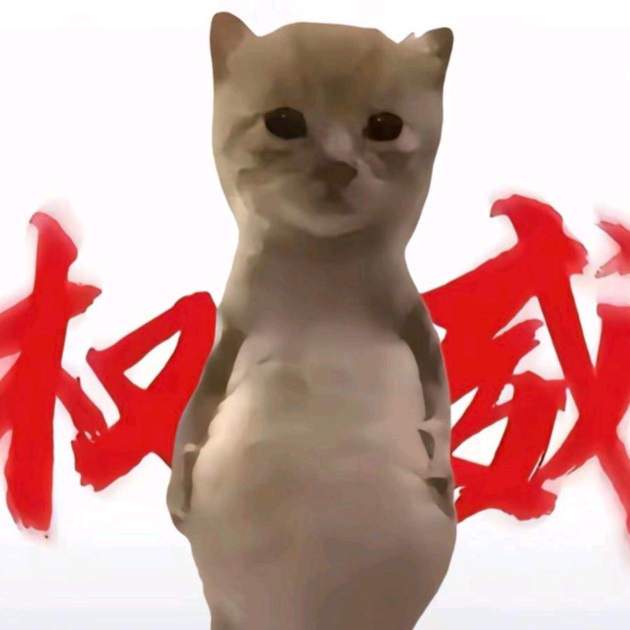 乐子猫sensue
