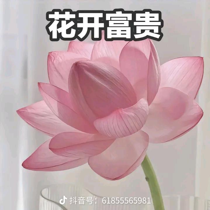 靳姐