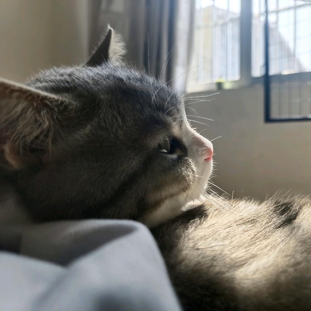 给自己的歌