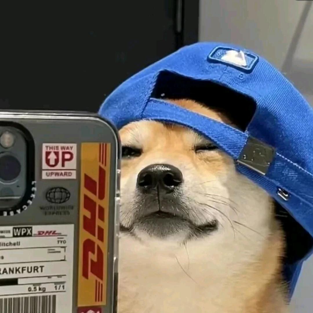 新生
