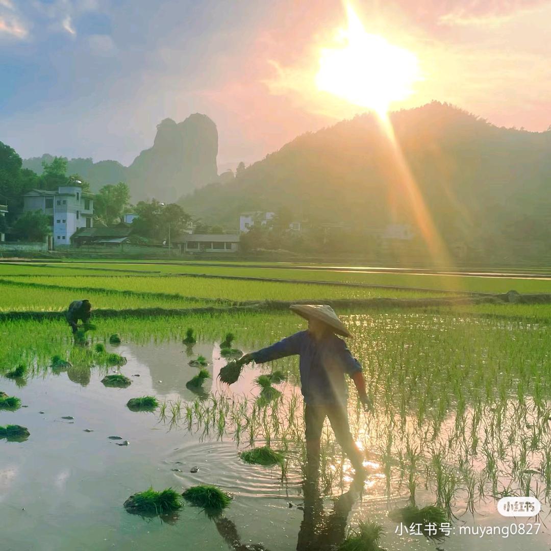阳光农资🌾🌾🌾