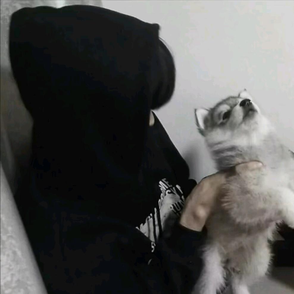 好讨厌早起˃ʍ˂