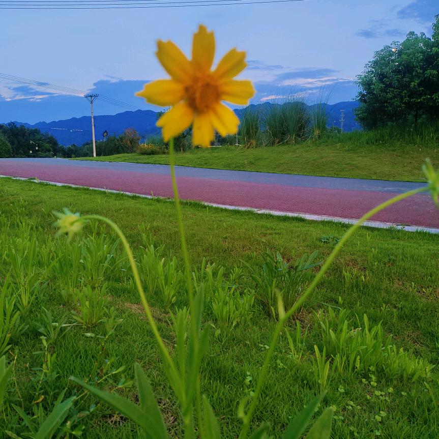 🍀风轻云淡