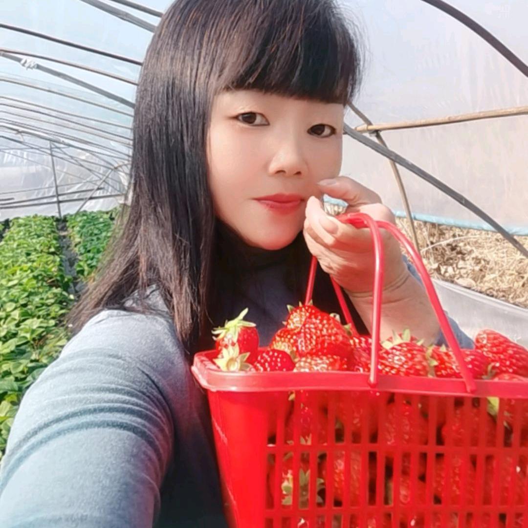 天若有情天亦老