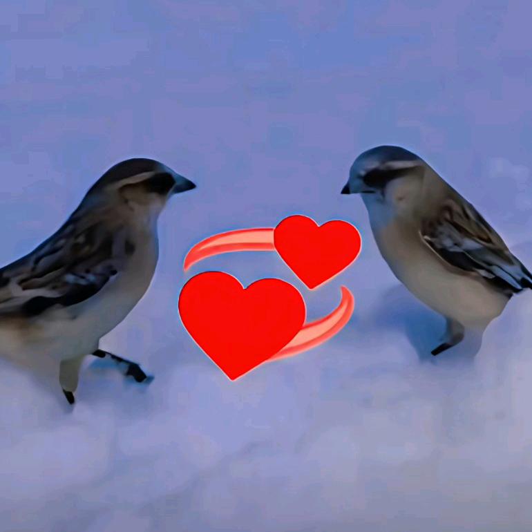 @ལ་སྟོད་ཀྱི་བུ་མོ 🌻