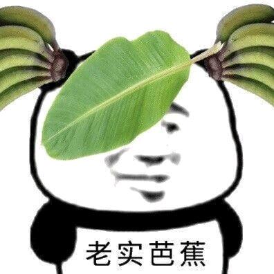 羌笛吹落梅，让人分不清故乡和异里