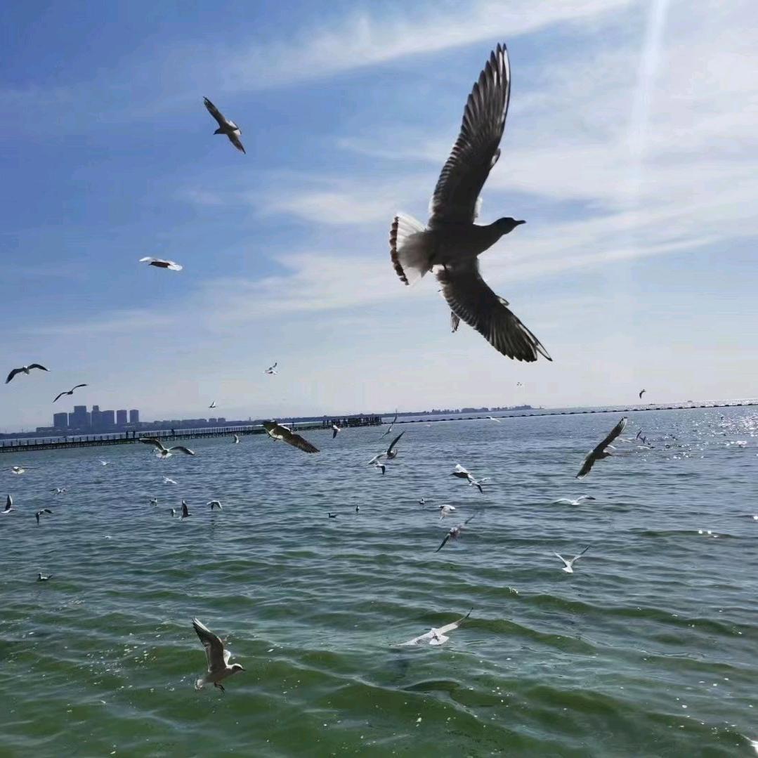海阔渔业
