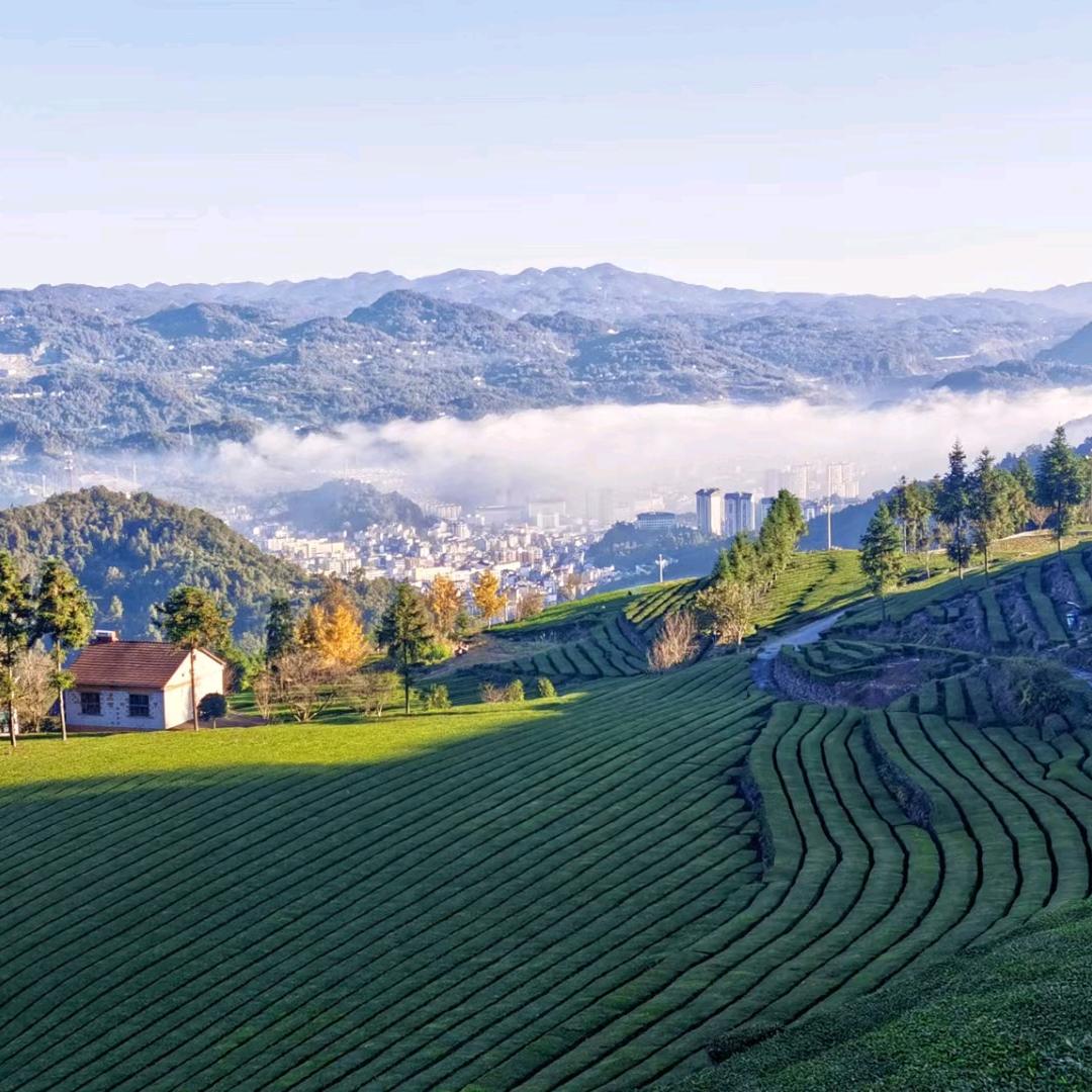 大叔成熟由内而外