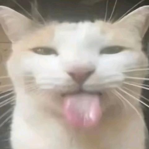 时劲爆