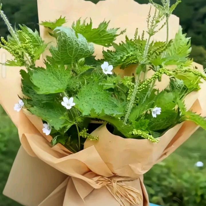 🥀এ᭄累了ꦿ谁💔疼ོ࿐ᩚ81年鸡🐔