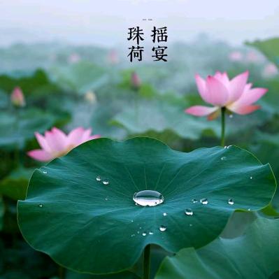 珠摇荷宴