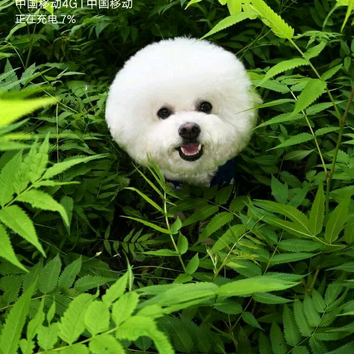 八零后致回不去的青春