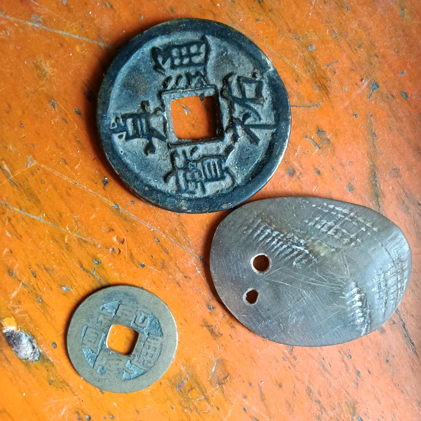 鱼目     蛤蟆