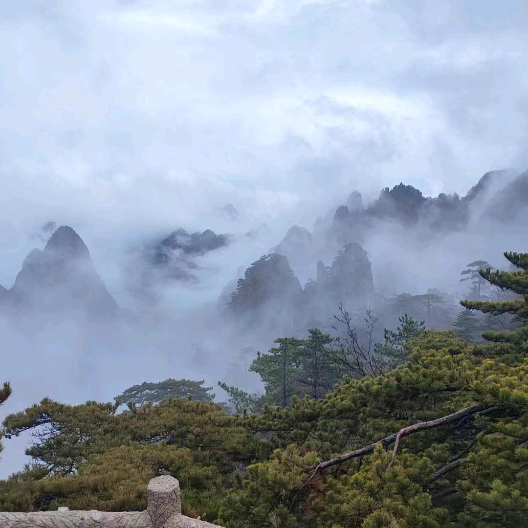 拯救研三的me
