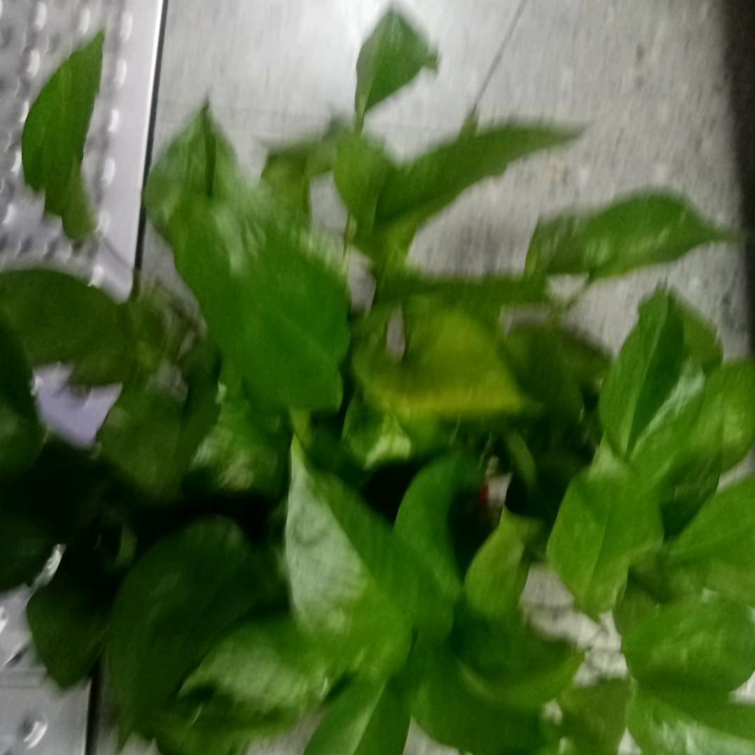 开心ヽ(○^㉨^)ﾉ♪