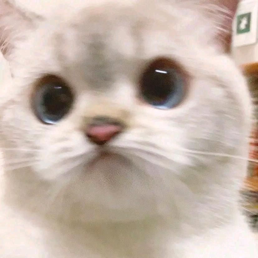 故野