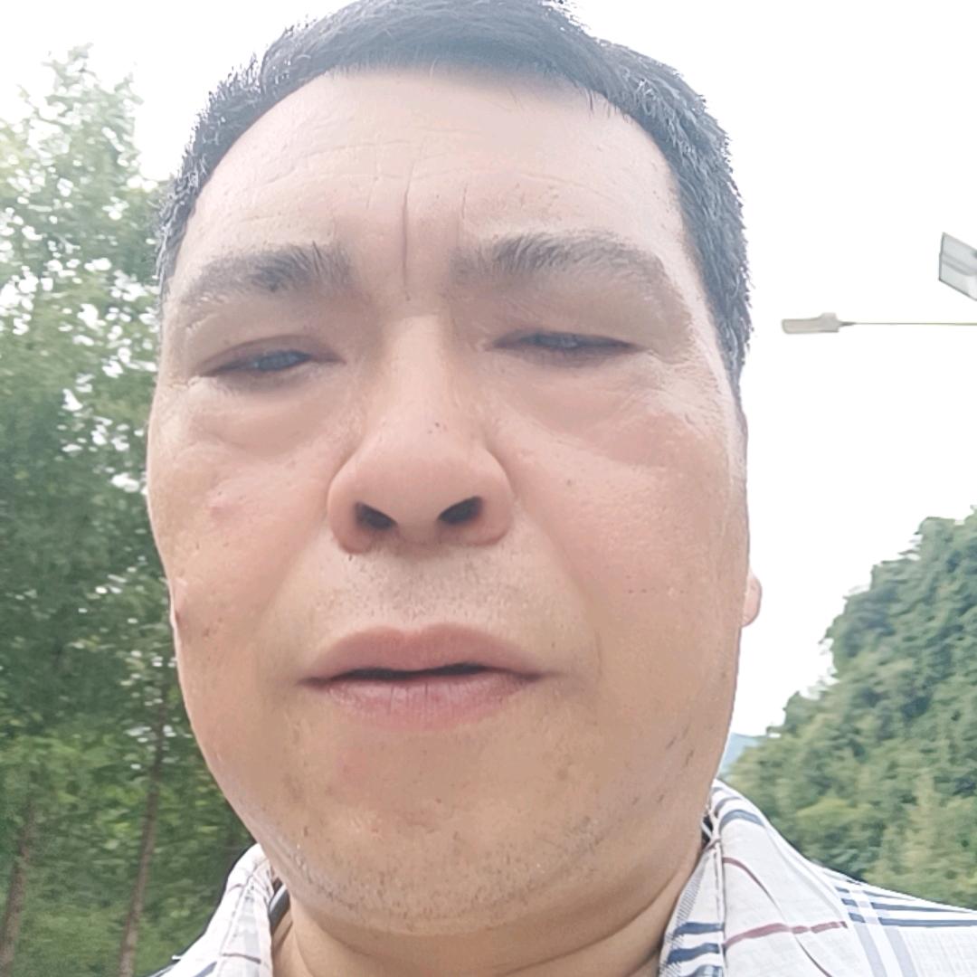 何平哥《2》