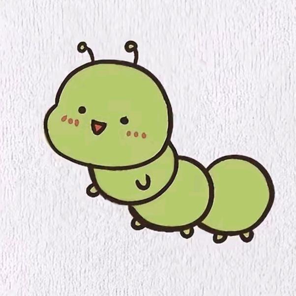 🐛肉肉