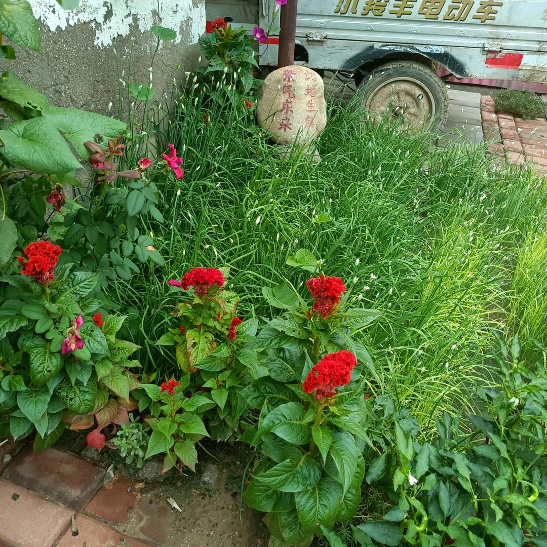 人间大道，走正路