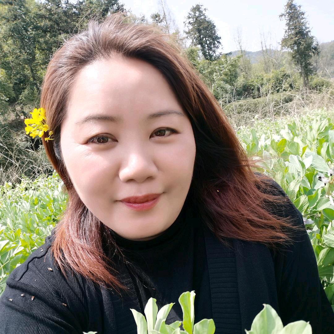 蒲公英（每天不定时直播）