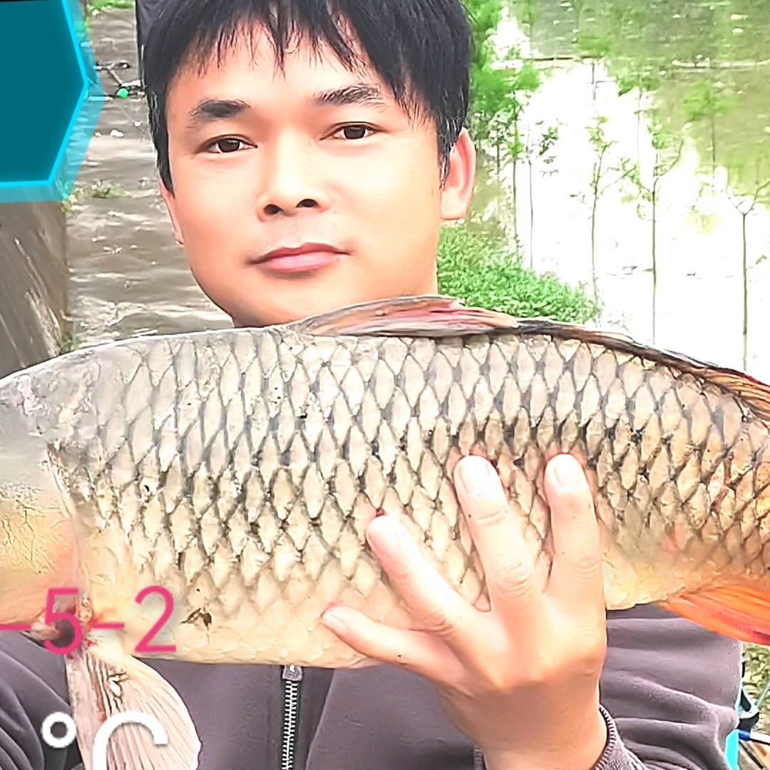 户外鱼乐哥🐠