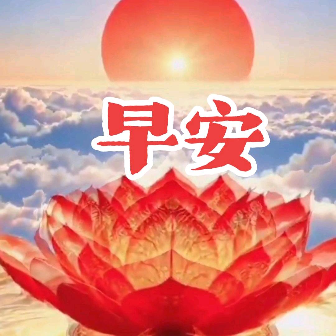 诚信大道（强哥）