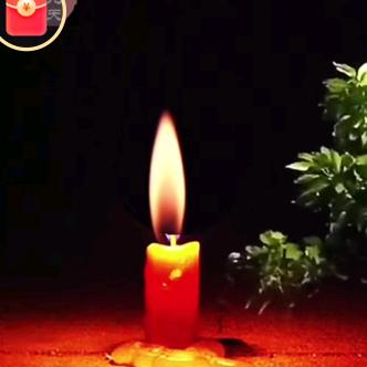 ❤️柳岸花明🇨🇳