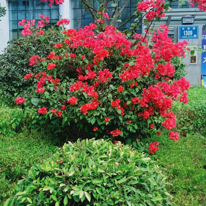 快乐一生❤️
