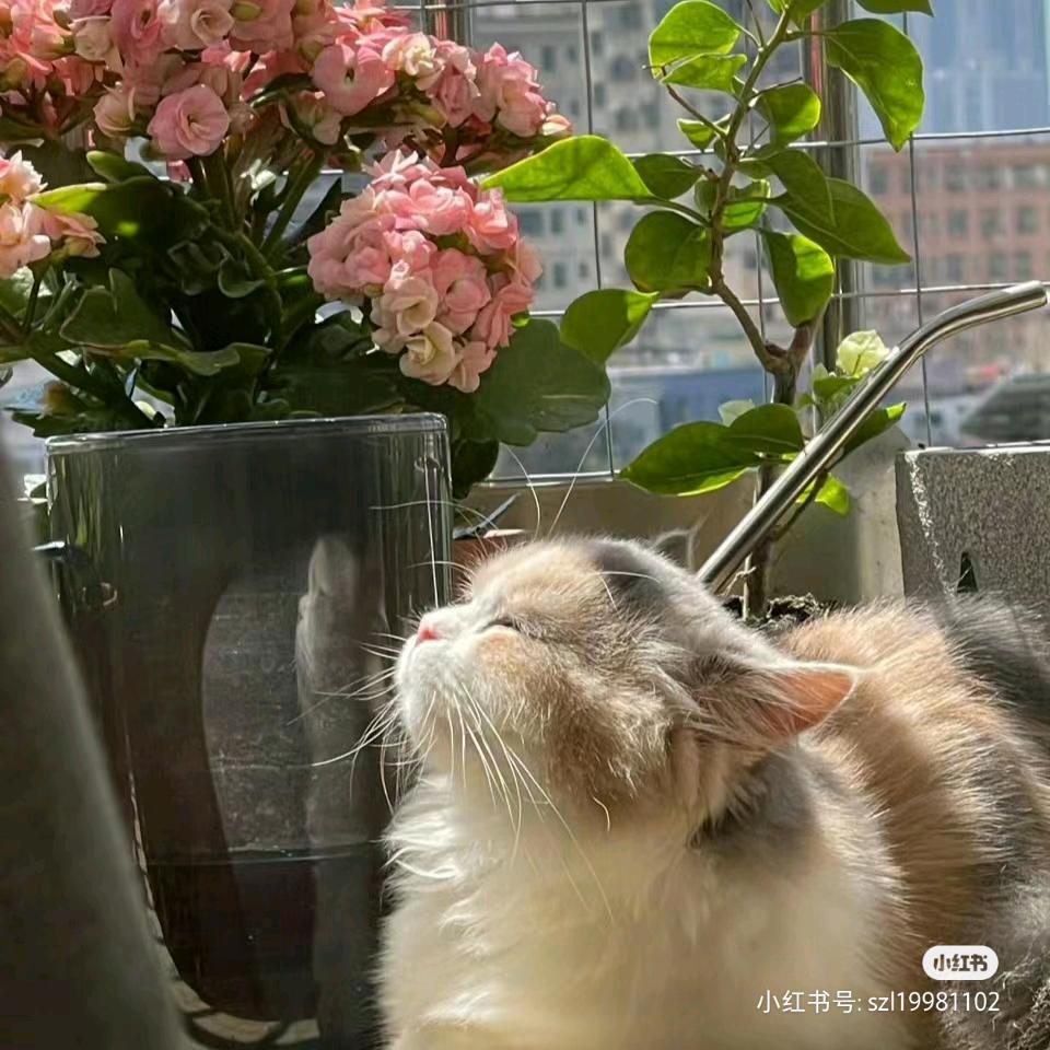 小柒🌈🌈