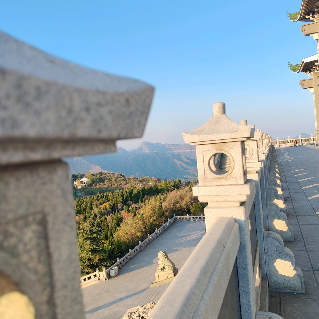 不爱吃鱼🐠的猫