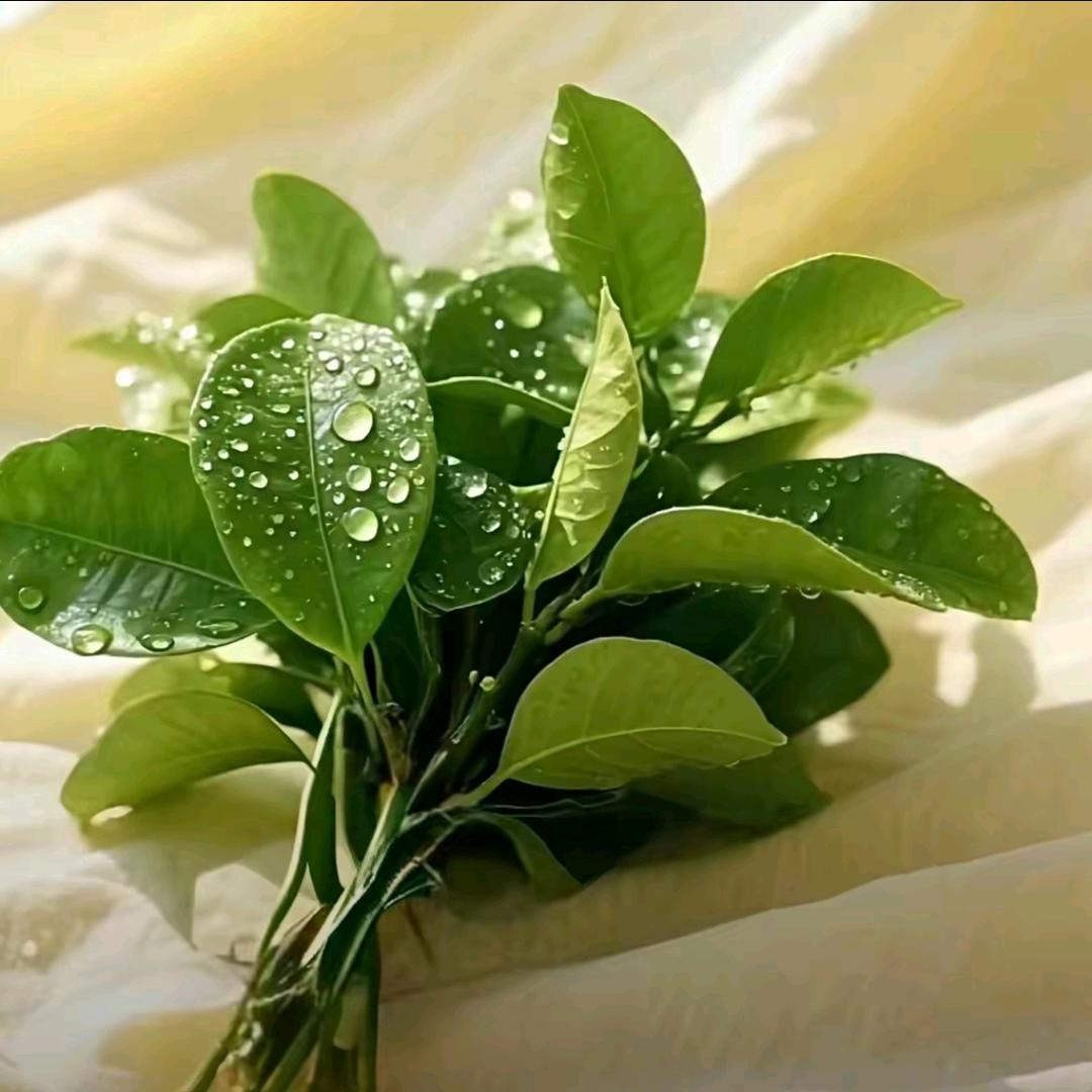 平安喜樂🫧 ❀