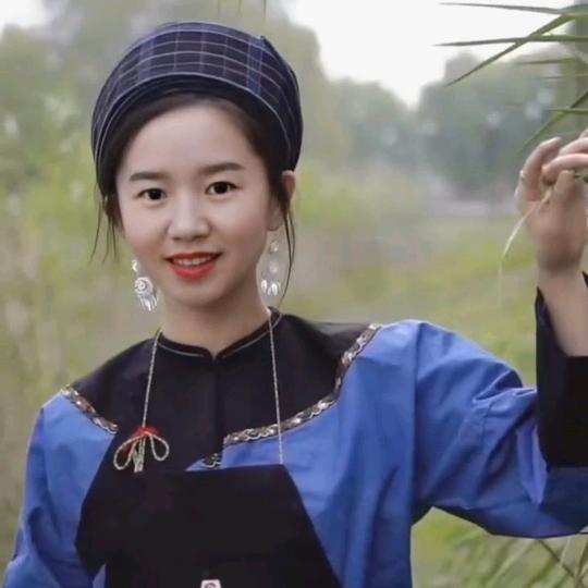 杨美
