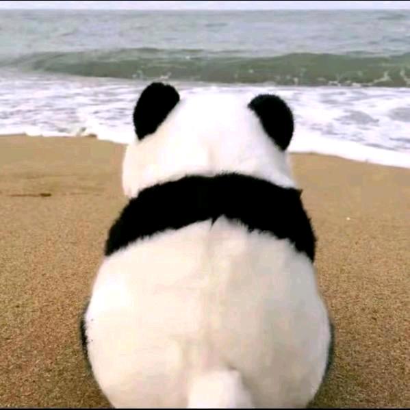我嘞个乖乖℘