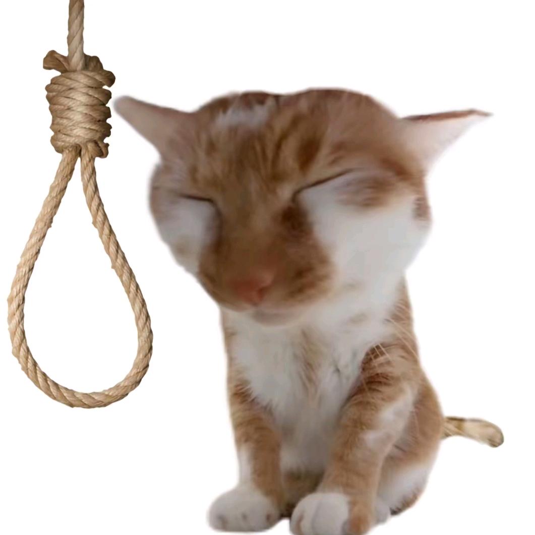 沐慕（私信已开通版）