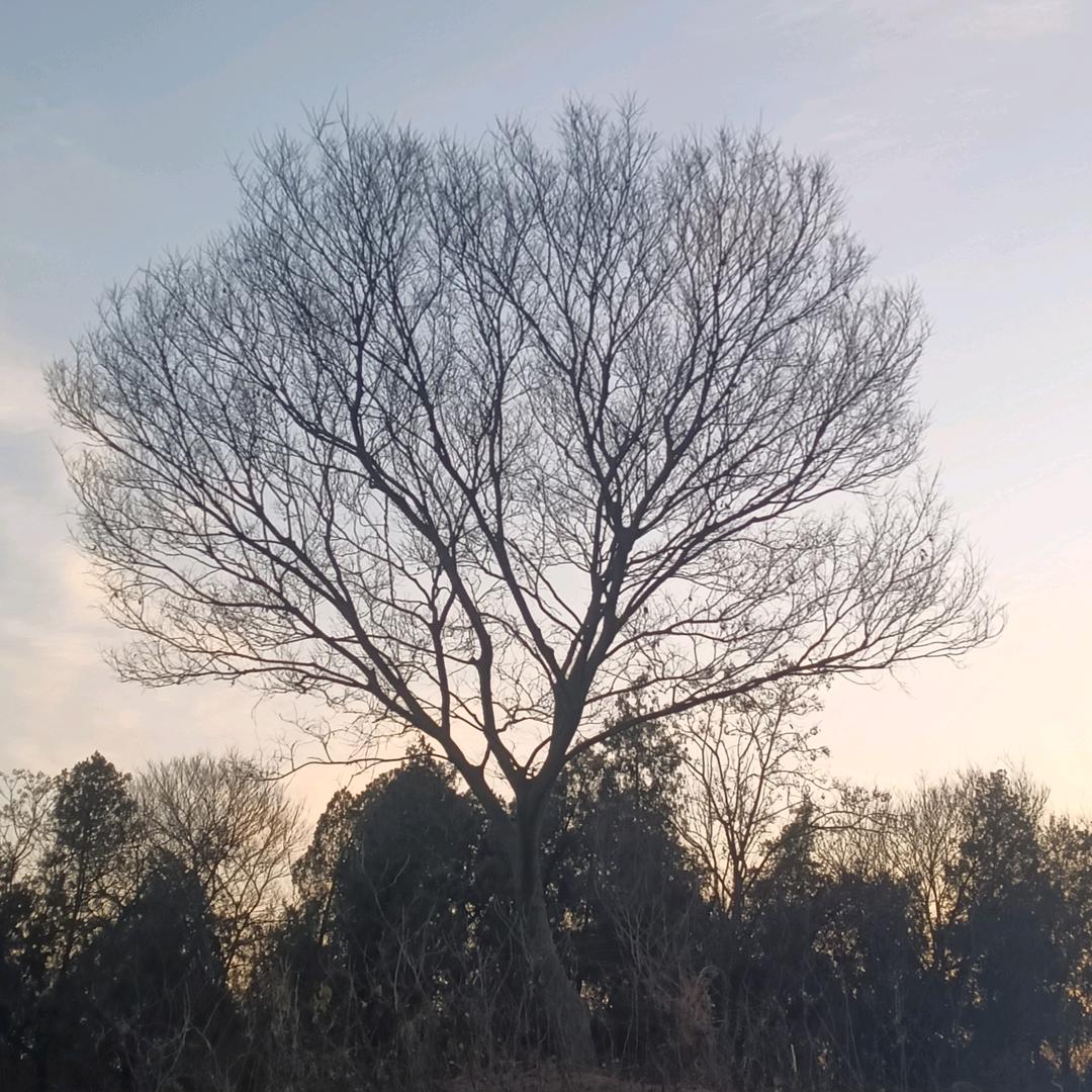 江天