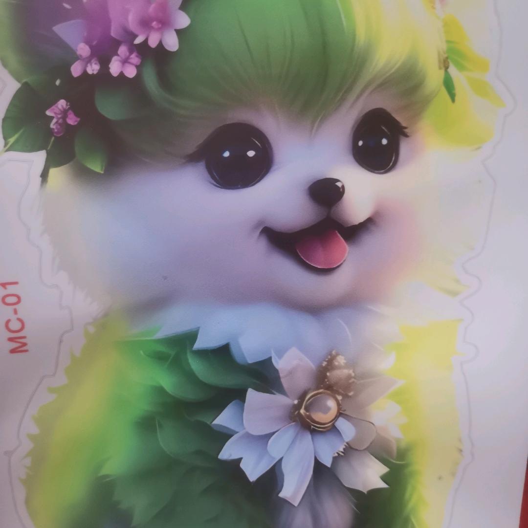 爱真爱。