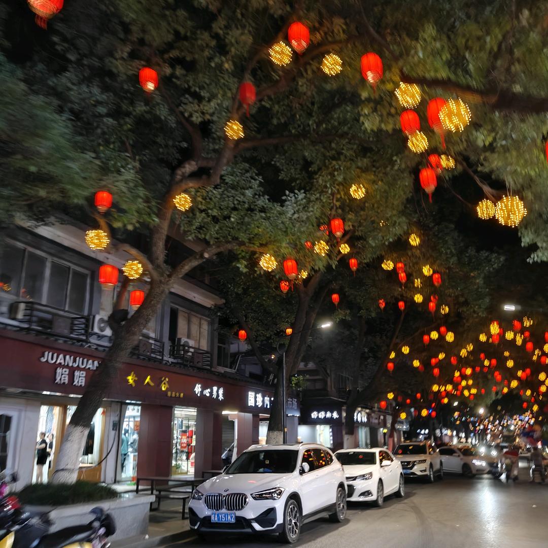 一朵无名花