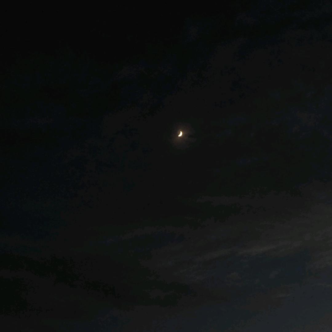 繁华落尽、本真