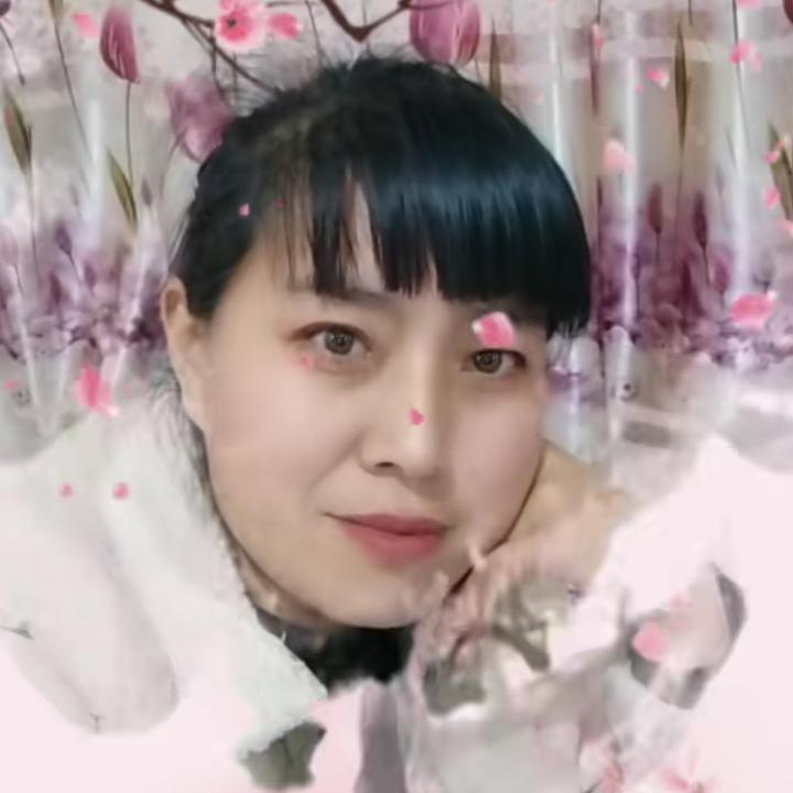 🌻四叶草草🌻