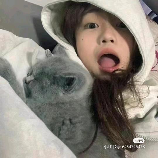 芋圆葡萄