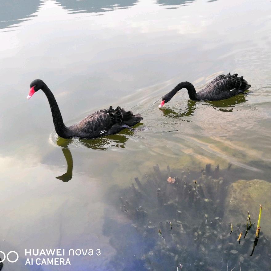 初心不忘5305782073