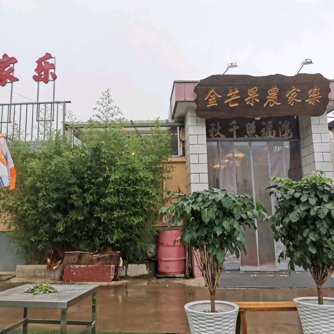 金芒果农家乐