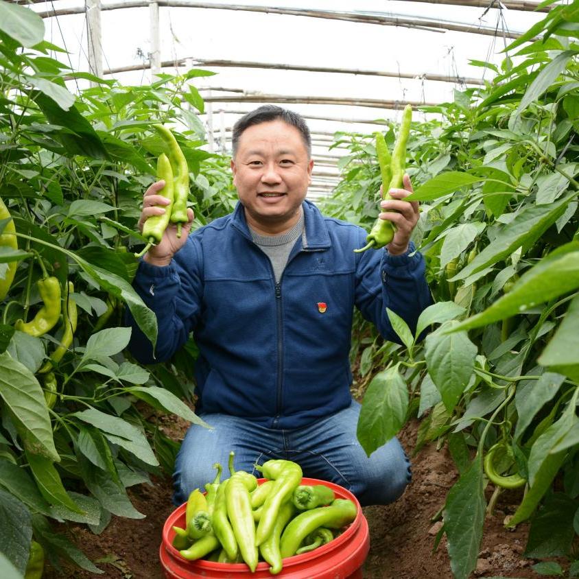 驻村书记小助理