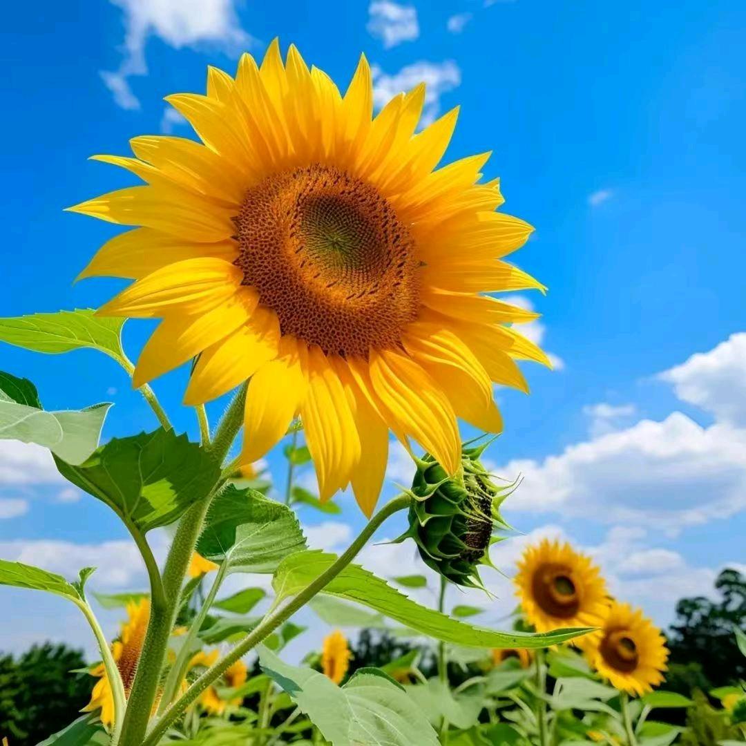 秀明姐 睌上9：30