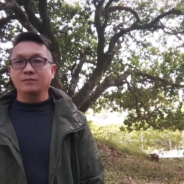 洞庭歌