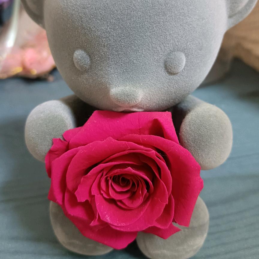 小米🌷