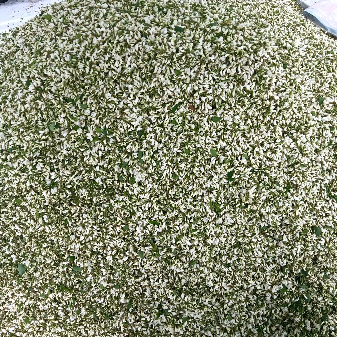 今天明天有未来